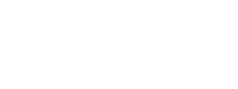 Ford Otosan