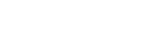Pegasus